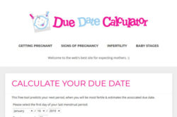 DueDateCalculator.org