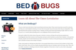 Bedbugs.org